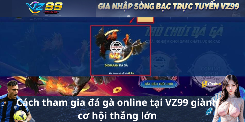 Cách tham gia đá gà online tại VZ99 giành cơ hội thắng lớn