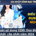 Điều khoản sử dụng VZ99_ Quy định mới nhất, cập nhật năm 2024