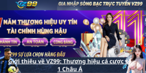 Giới thiệu về VZ99_ Thương hiệu cá cược số 1 Châu Á